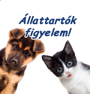 Felelős állattartás elősegítése